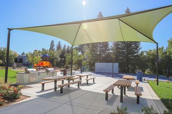 Bbq picnic area